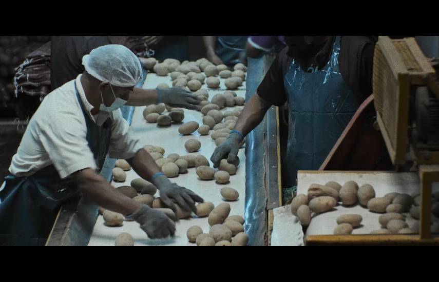 Llevará su “Saloma” al Festival de Cine