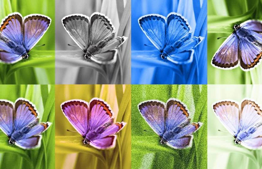 Google SynthID Detector: cómo usarlo para identificar contenido generado con IA y cuáles son sus limitaciones