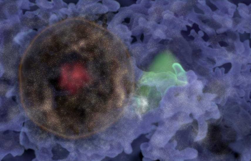 Hallan una “burbuja de galaxias” originada en los albores del universo
