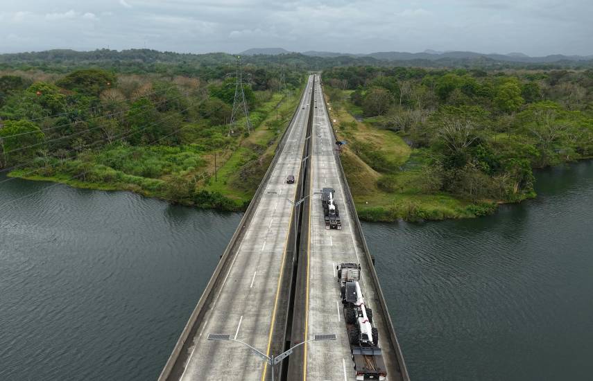 Naturgy incorpora poda mecanizada para reforzar el control de vegetación cerca de los tendidos eléctricos