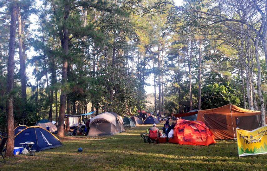 El Jardín Botánico Summit abre sus puertas para acampar