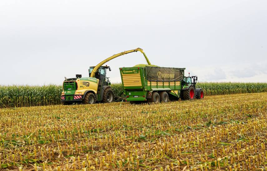 Impacto en el turismo, agro y electricidad