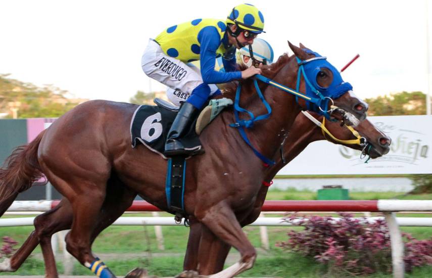 Roaring Justice parte como favorito