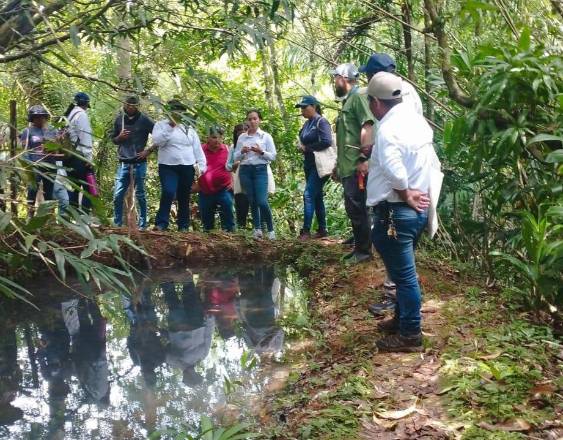 Cortesía | Entidades del Ministerio de Ambiente.