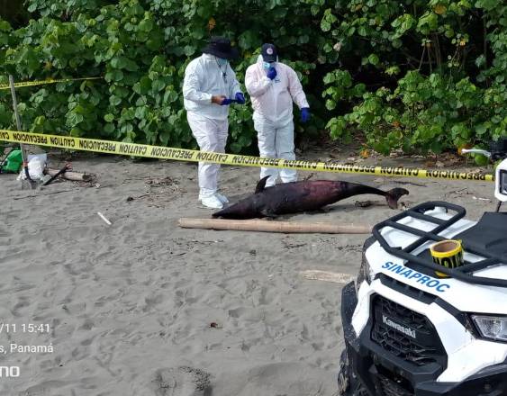 ML | Autoridades en el sitio.