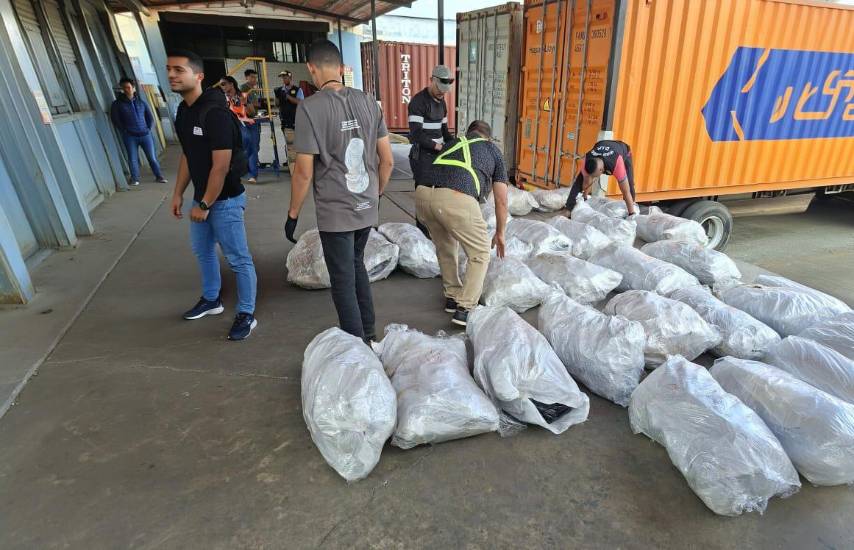 Autoridades retienen contenedor con 109 sacos de aletas de tiburón