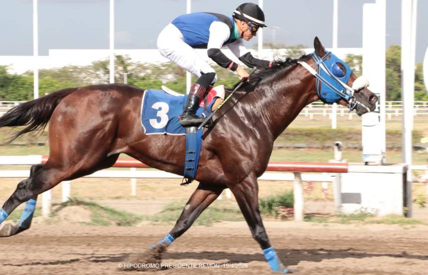 El Hipódromo Presidente Remón celebra dos pruebas de hándicap
