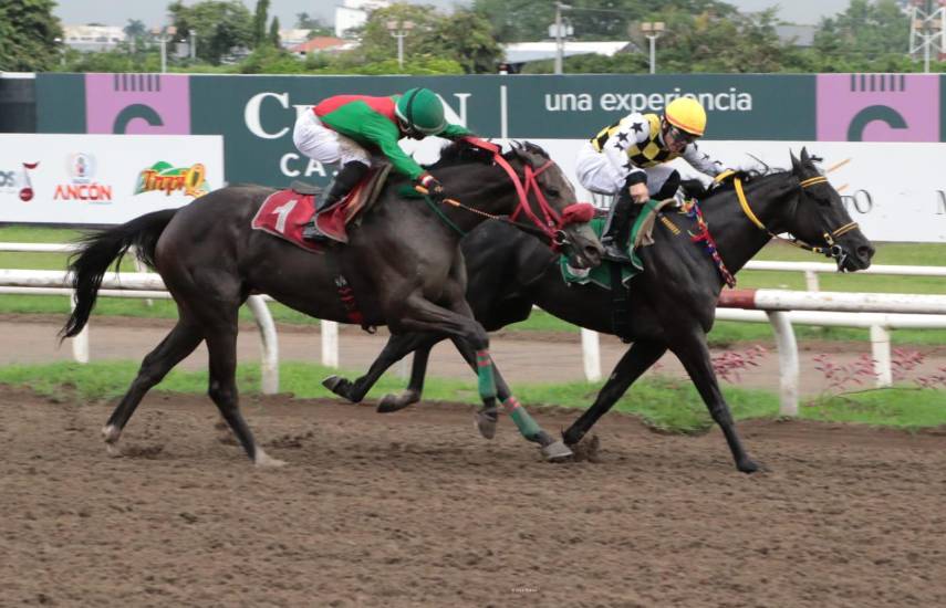 Potrancas presagian un cerrado duelo en el Clásico Familia Ruiz