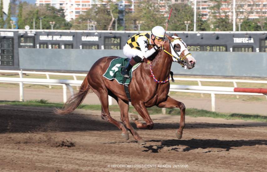 Las buenas cartas: Capo Falcone, Bamberosky y Campbell’s Work