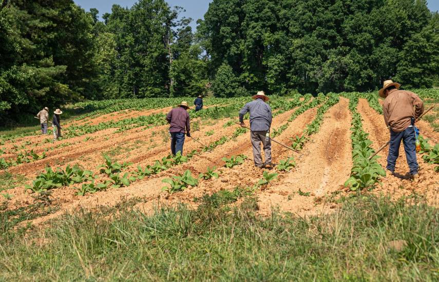 Obras, agro y turismo, claves para generar empleo en Veraguas