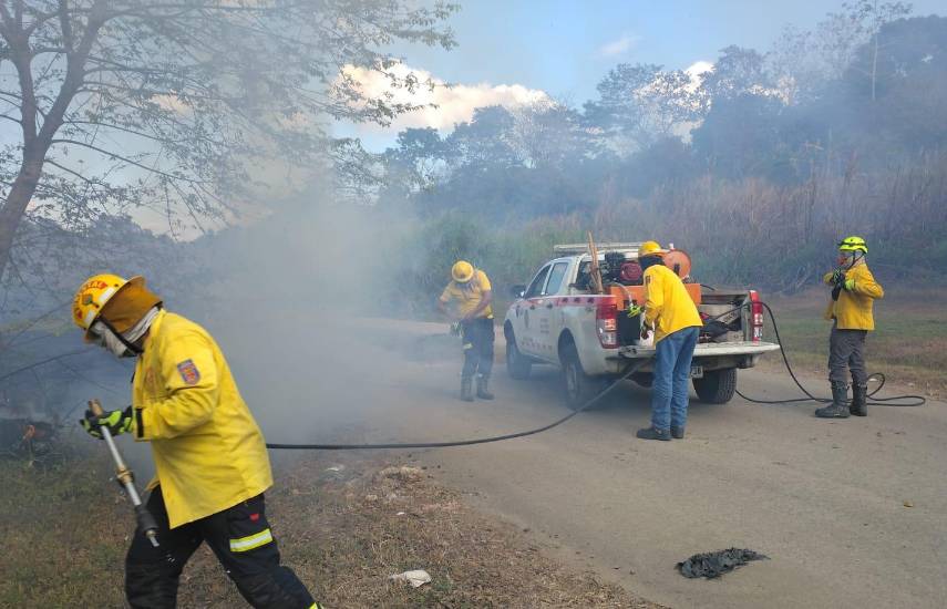 ML | Incendio de masa vegetal.