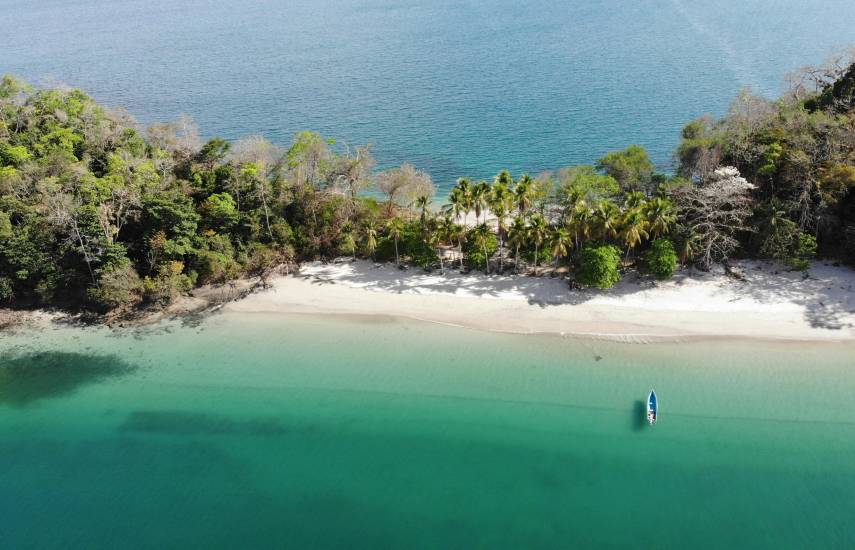 “Agro y turismo”, impulsan reactivación en Bocas