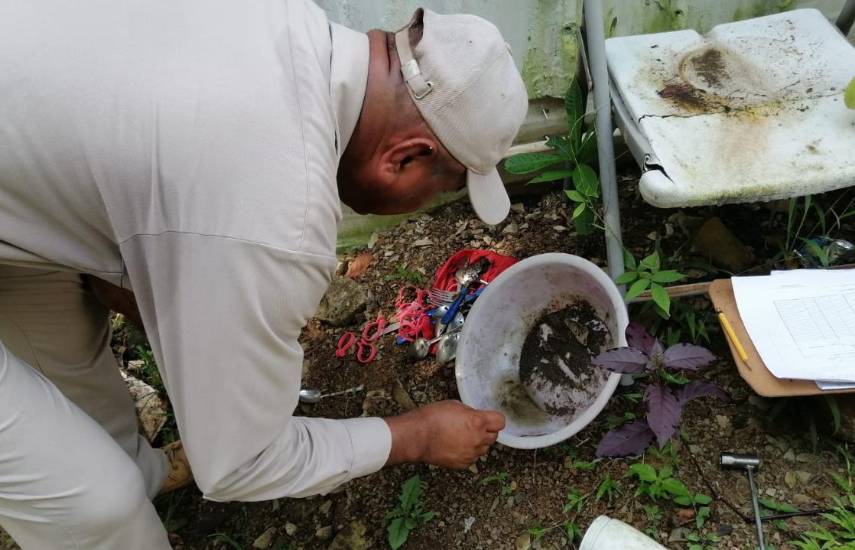 Minsa reporta 221 casos nuevos de dengue en una semana