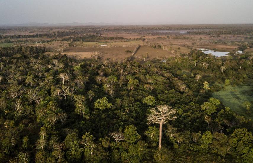 El Proyecto Jaguares Panamá hace historia