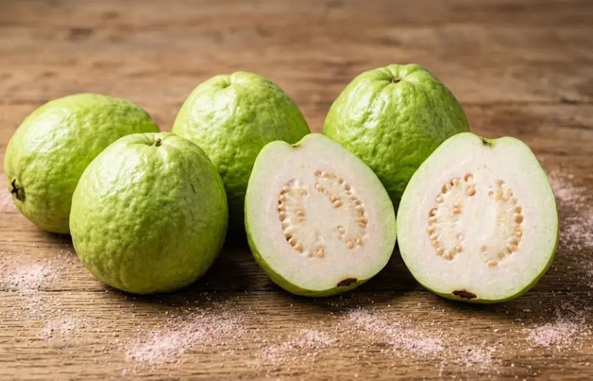 Chiriquí y Panamá Oeste concentran producción de la guayaba taiwanesa