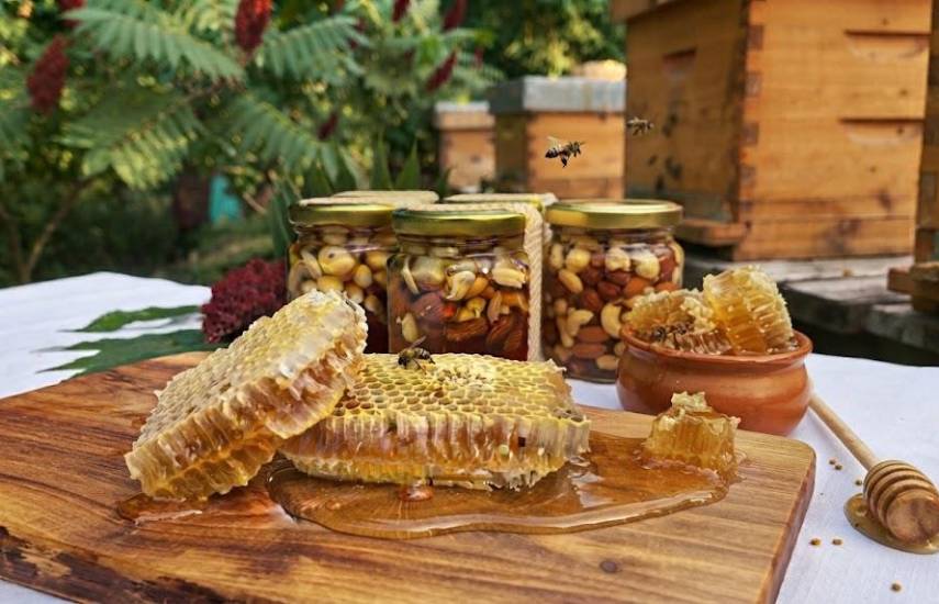 Panamá produce 67,621 galones de miel de abeja al año; Chiriquí lidera producción