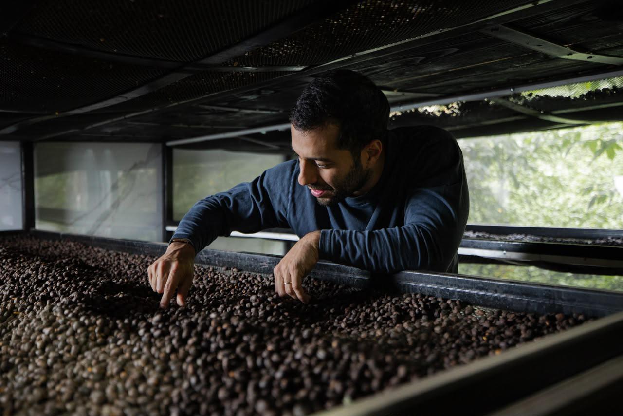 Café panameño supera los $3 millones en subasta mundial del Best of Panama