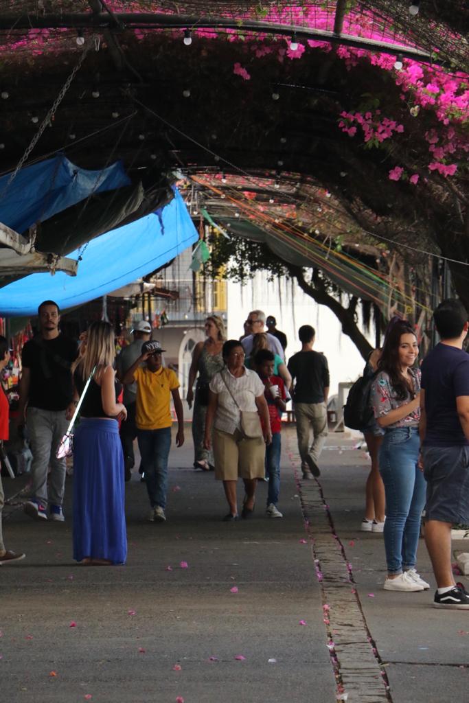 ML | Personas recorren el lugar bajo la sombra de las veraneras. 