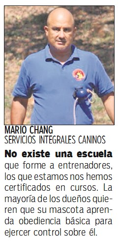 opinión