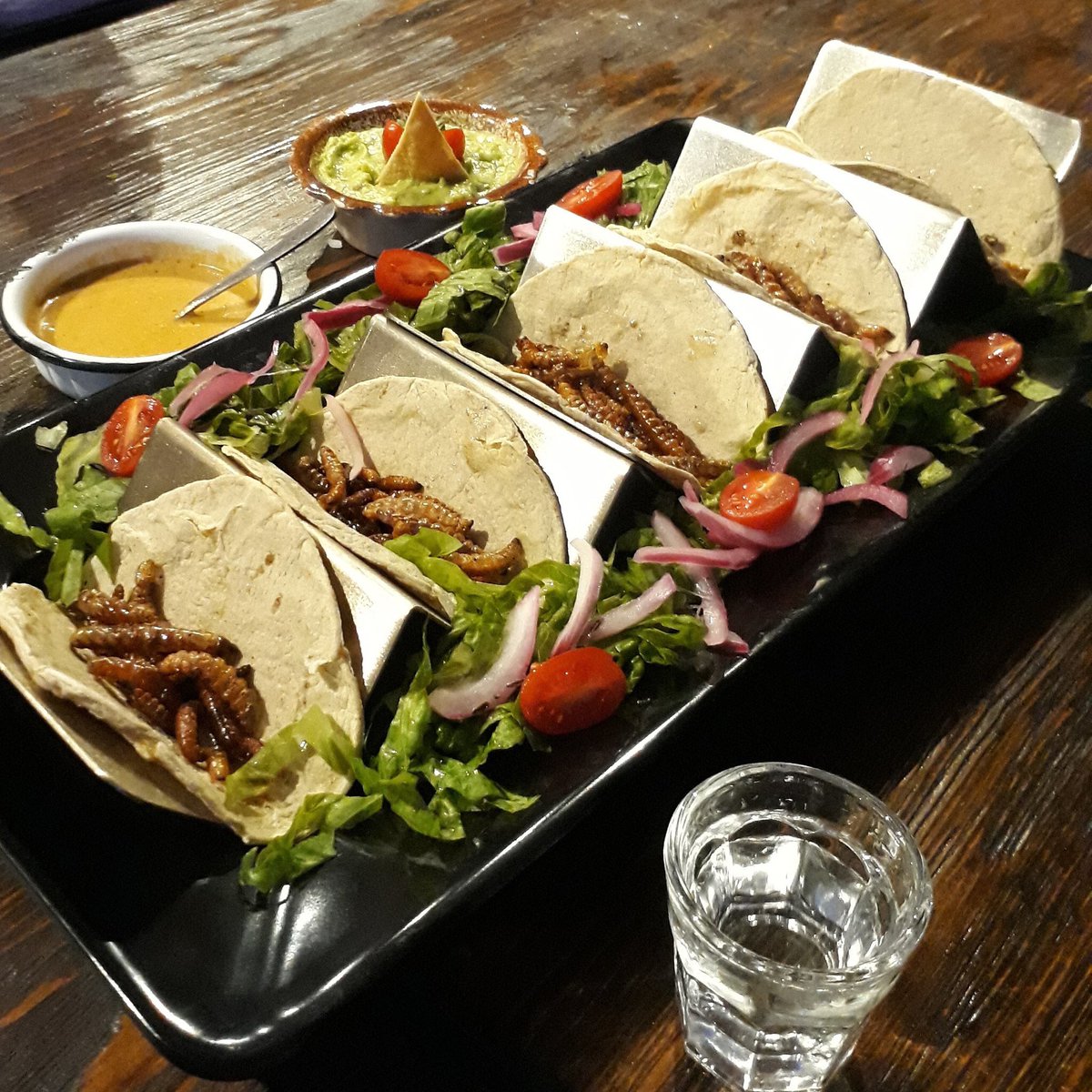  Chinicuil o Gusano de maguey. 