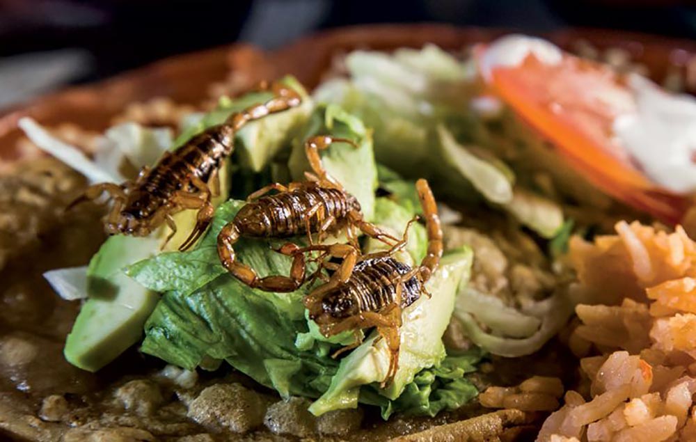  Alacranes o escorpiones.